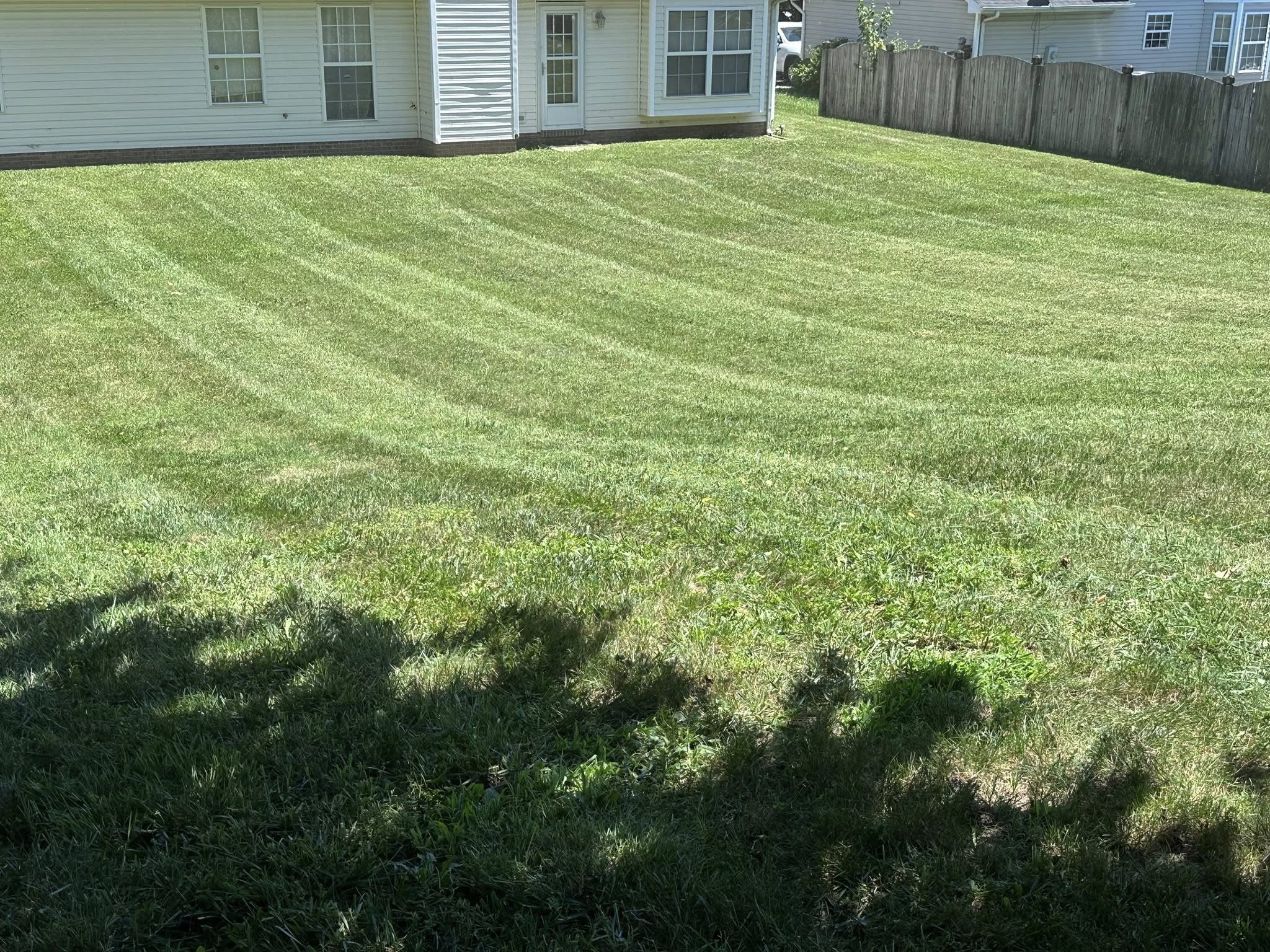 Freshly mowed lawn with clean stripes