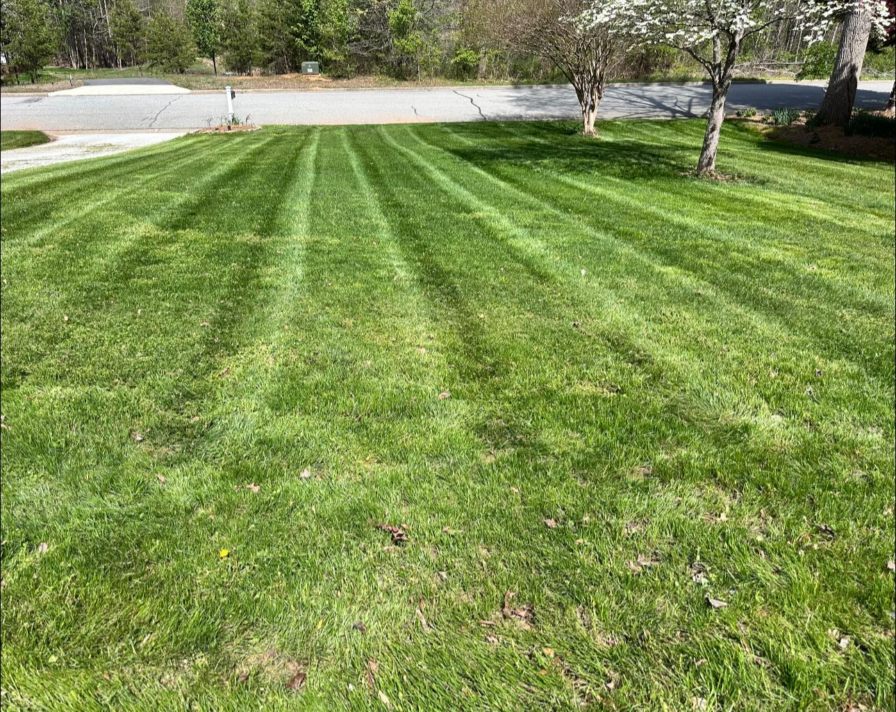 Large residential lawn maintenance