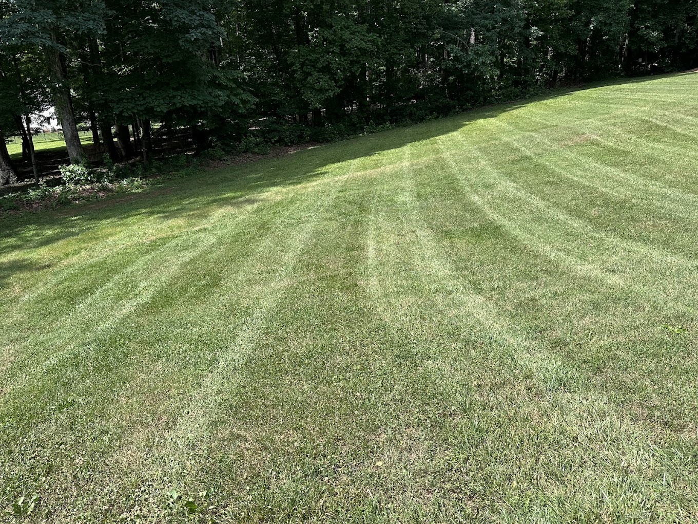 Wide open property with striped mowing pattern