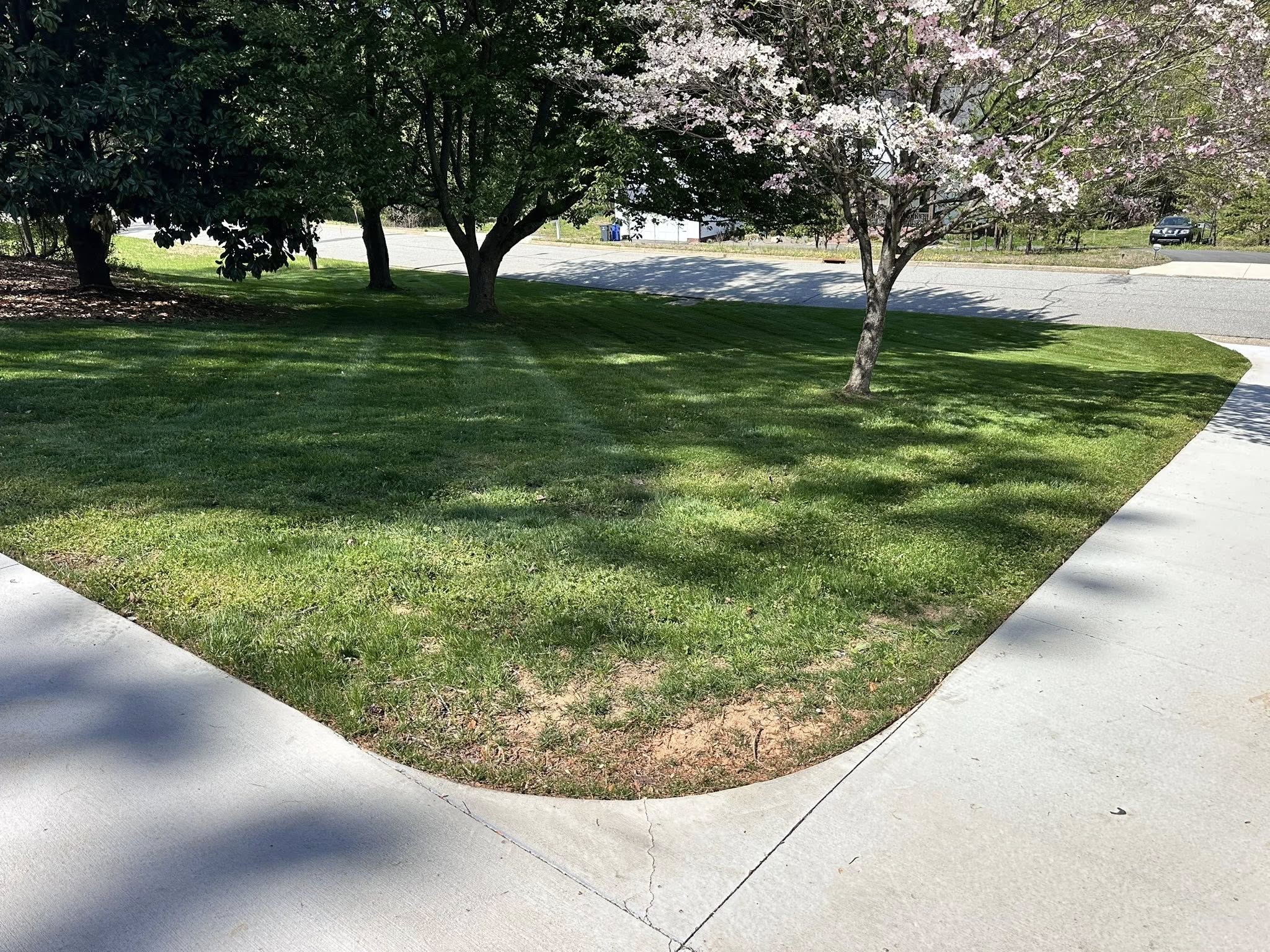 Backyard lawn mowing results