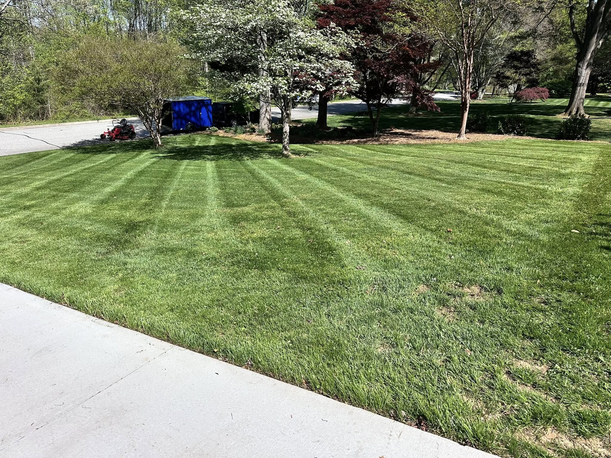 Freshly mowed lawn with clean stripe pattern